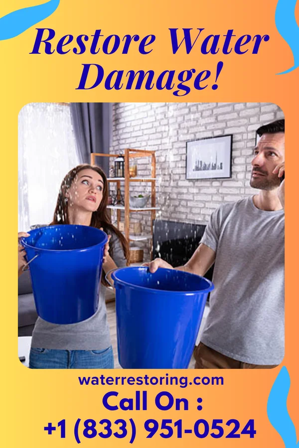 water restoration Vigilant Water Repair Services Amorita