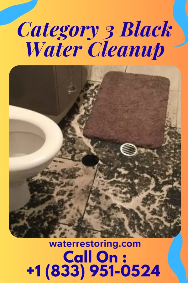 Category 3 Black Water Cleanup in Amorita, OK
